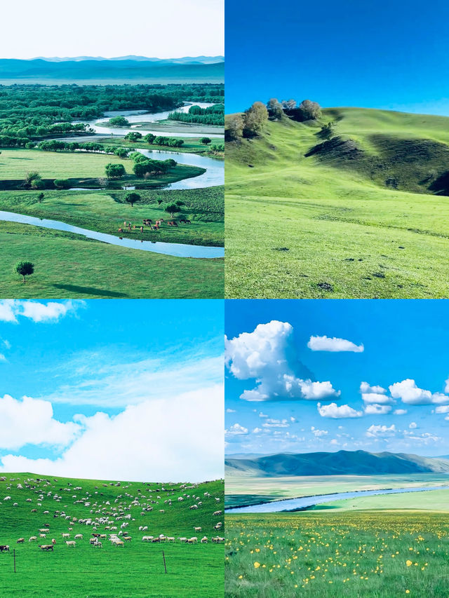 綠水青山 好美 適合親子旅遊