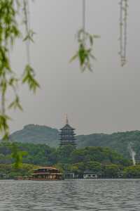 早春野趣 | 茅堤至烏龜潭秘境賞桃花環線攻略