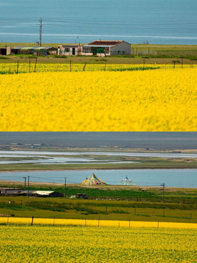 青海湖藏服‖拍照打卡避坑攻略