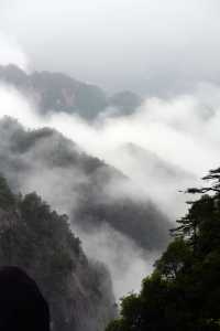 雨裏霧裏看“三清”