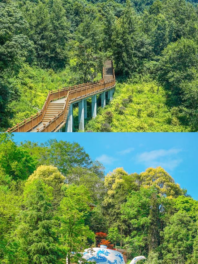 安茗山，打卡超絕氛圍感天梯古道