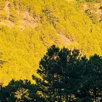 Refreshing Views in Atok, Benguet