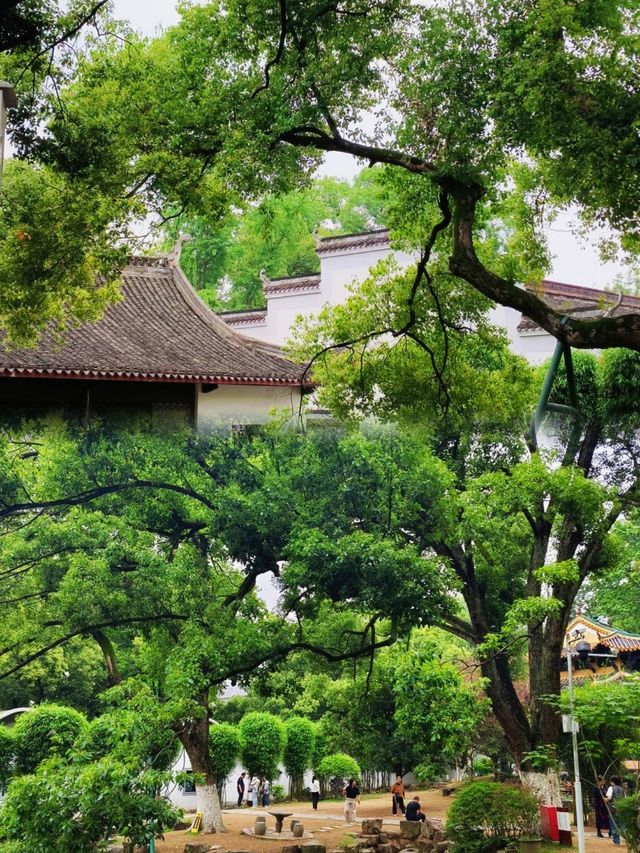 千年學府！岳麓書院深度文化漫步攻略
