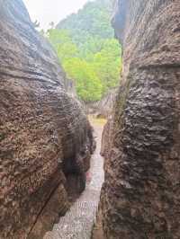 夏季炎熱推薦漢中一些避暑勝地：   - 黎坪國家森林公園：位於南鄭區黎坪鎮，夏季平均氣溫22℃左右。