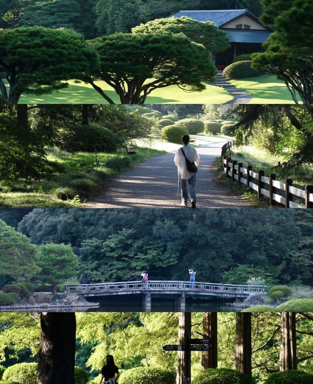 原來是真的，就在東京新宿御苑～