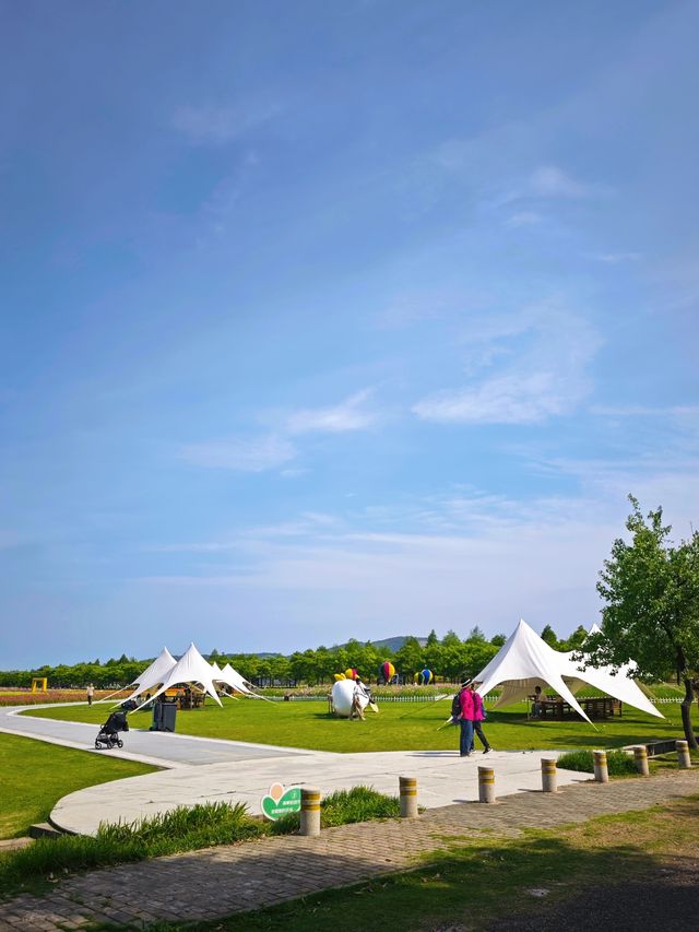 漩門灣濕地公園冇人嘅感覺實在太正啦