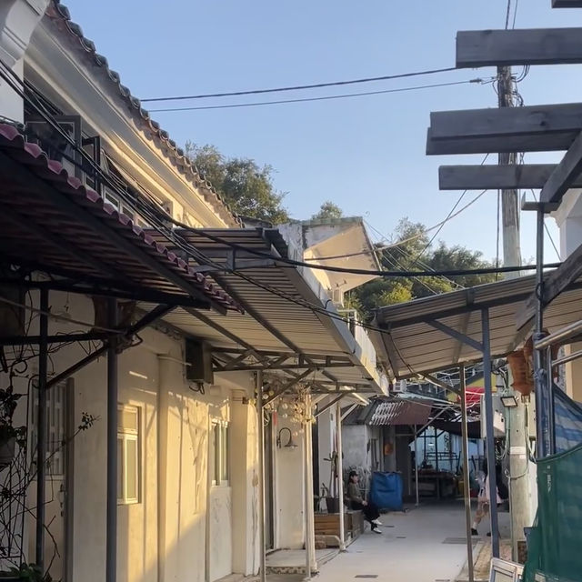 香港塔門島深度遊｜邂逅海上世外桃源🌊