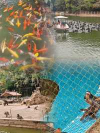 動物、繁花與溫馨旅居