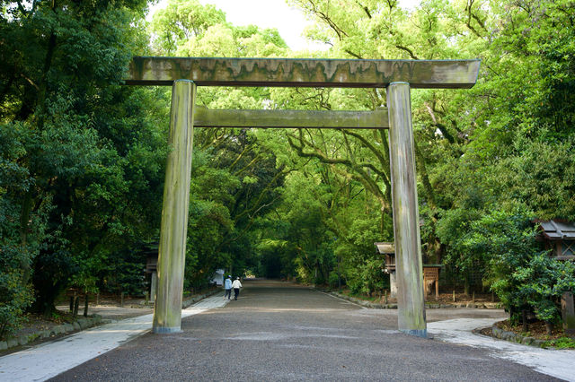 野兔Andy帶小狗仔遊名古屋