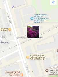 Kunming Day Trip