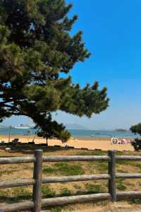 海的浪漫與詩意——探索無盡的海洋