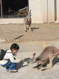 懶人式湊仔好去處——紫清湖旅遊區