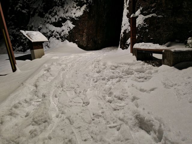 峨眉山旅遊攻略︱探秘佛教聖地與自然奇觀