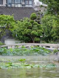 喺廣漢，竟然感受到江南園林嘅韻味
