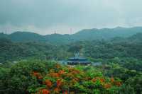 一日山中｜廣州溫泉莊園，中式美學天花板