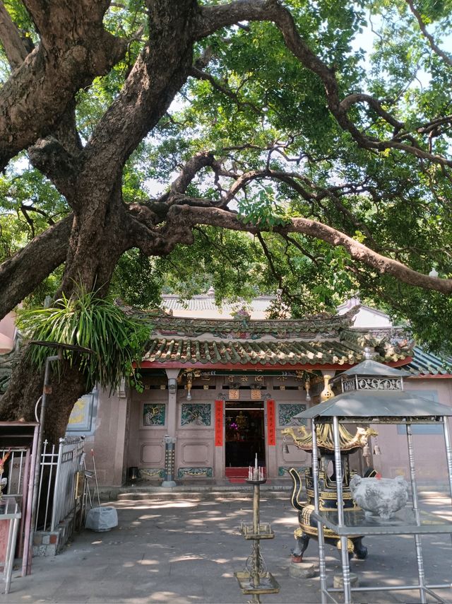 揭陽黃岐山 | 邂逅自然與歷史的詩意之旅。