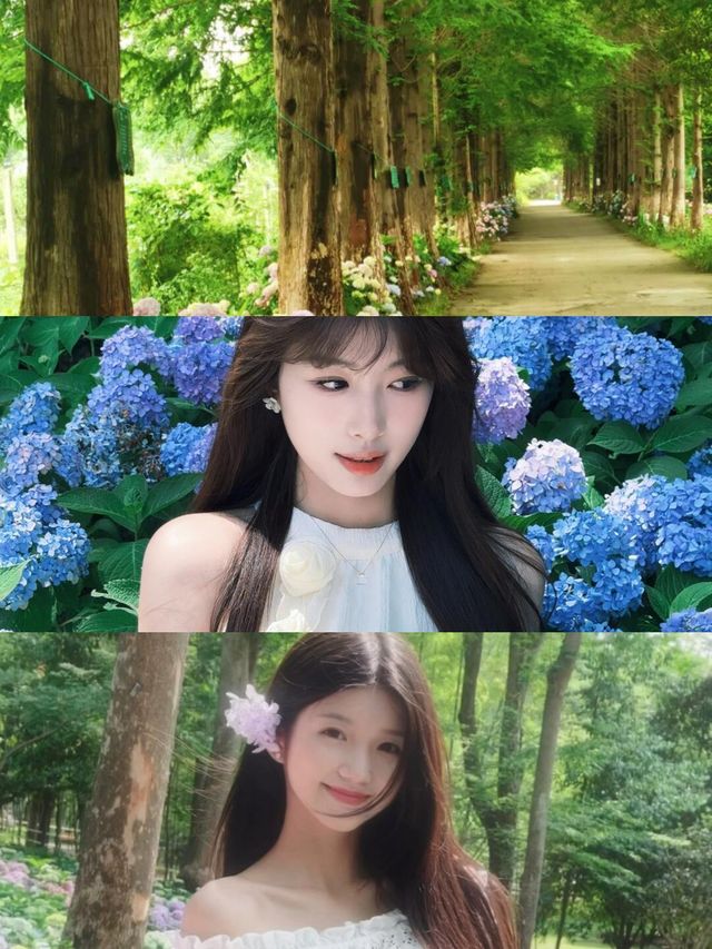 早該嚟揚州！夏日避暑，森林花海靚到入心