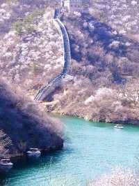 7 Great Wall Tours from Beijing: Find Your Perfect Adventure 🗺