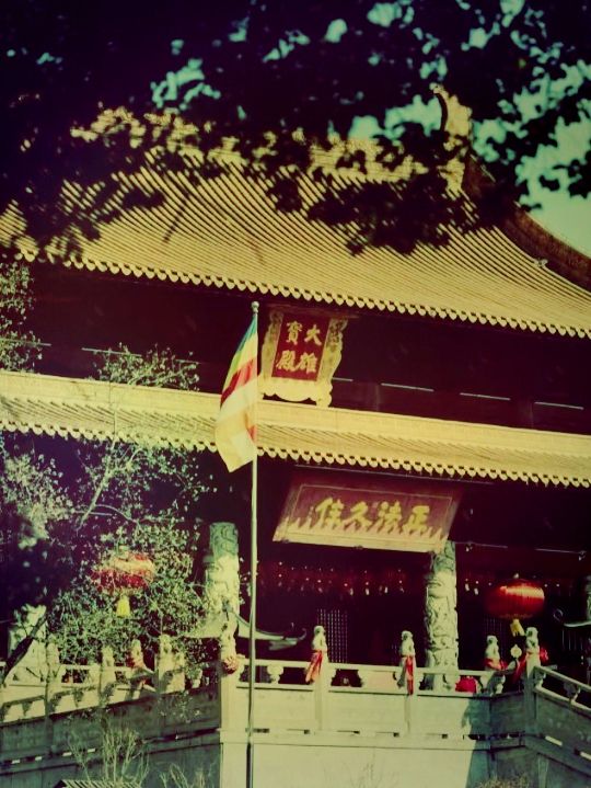 *【金陵古剎｜長蘆寺的禪意時光】**  