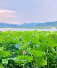 杭州西湖，此生必去嘅江南，你去過未？