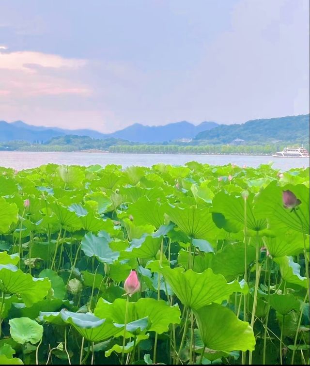 杭州西湖，此生必去嘅江南，你去過未？