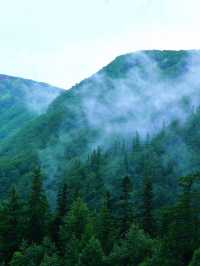 7—8長白山，我拍到天池「藍眼淚」