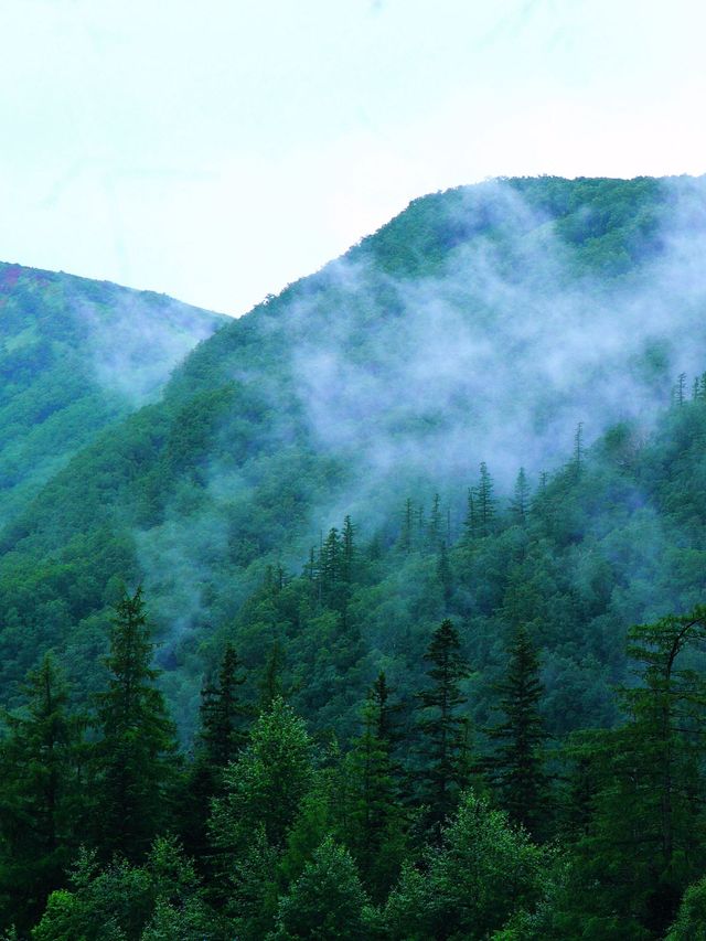 7—8長白山，我拍到天池「藍眼淚」