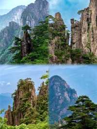 邂逅黃山，赴一場山海之約
