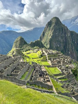 The South American jungle is often used to symbolize the free world we yearn for in our hearts.
