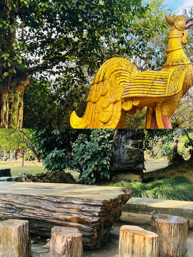 邂逅芒市｜解鎖小眾秘境，開啟美食與風情之旅