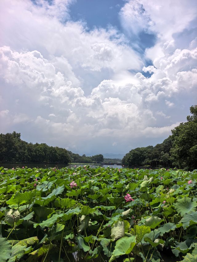 暴雨之後出太陽，西湖嘅雲好唔真實