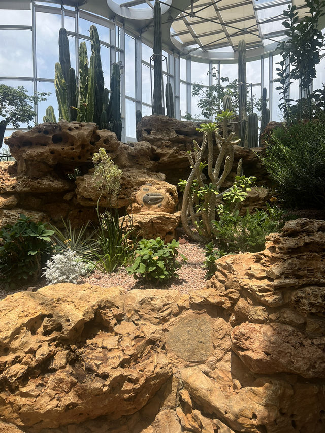 Discover the Beauty of Shanghai Greenhouse Garden! 🌼