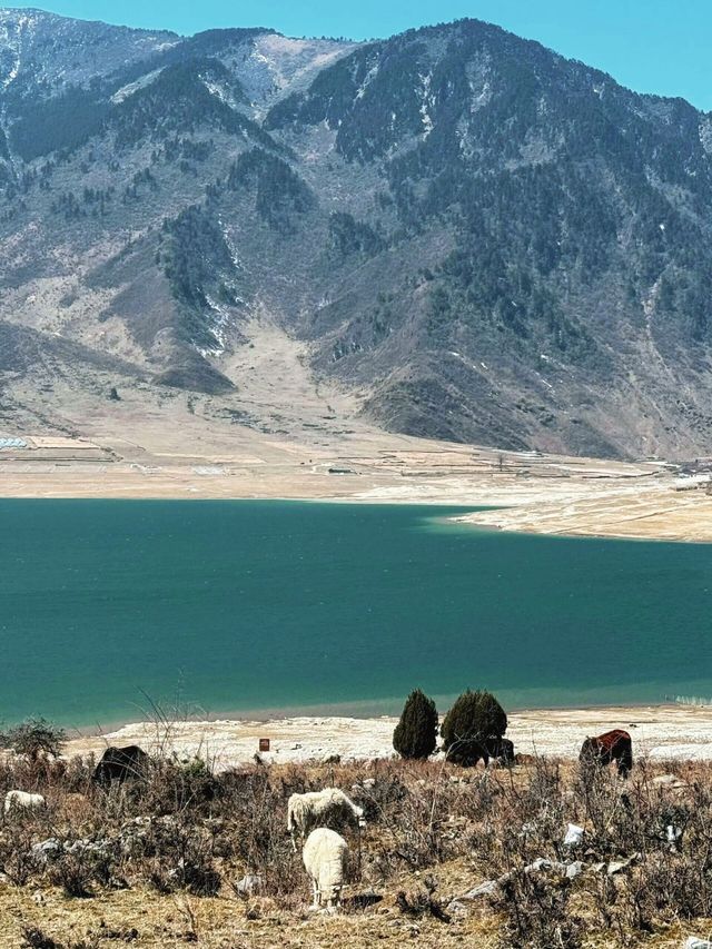 涼山旅遊攻略：探索川西南嘅秘境天堂