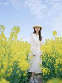去門源油菜花海千祈唔好犯呢啲禁忌！否則後悔莫及