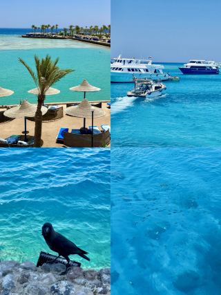 Half Desert, Half Sea: A 3-Day 2-Night Hurghada Travel Guide