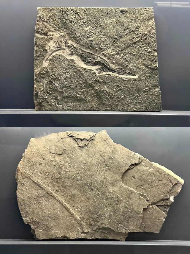 沉入江底嘅故鄉