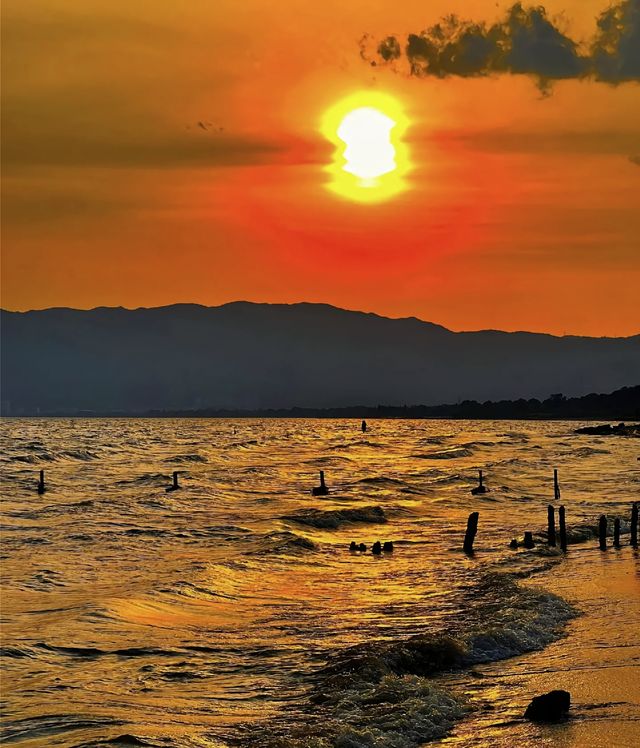 唔好再去洱海啦！雲南撫仙湖先係寶藏小眾旅行地！