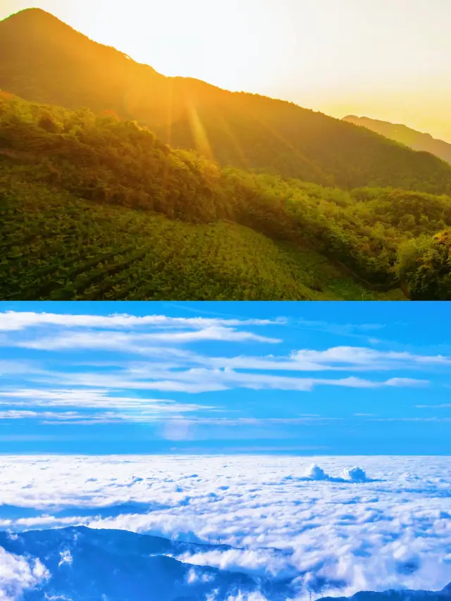 《絕壁棧道攀雲端！21℃森林徒步征服羌山》