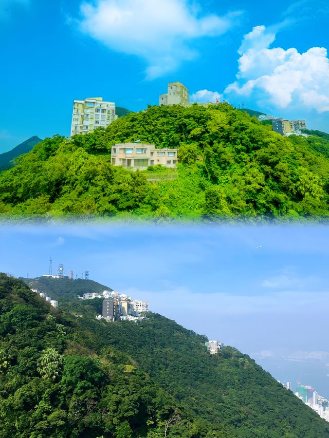 暴走香港3天攻略