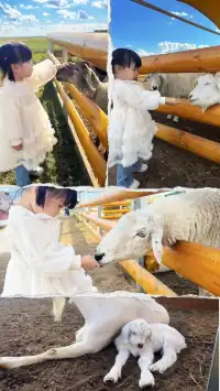 帶娃旅行2歲10個月內蒙之旅！詳細攻略