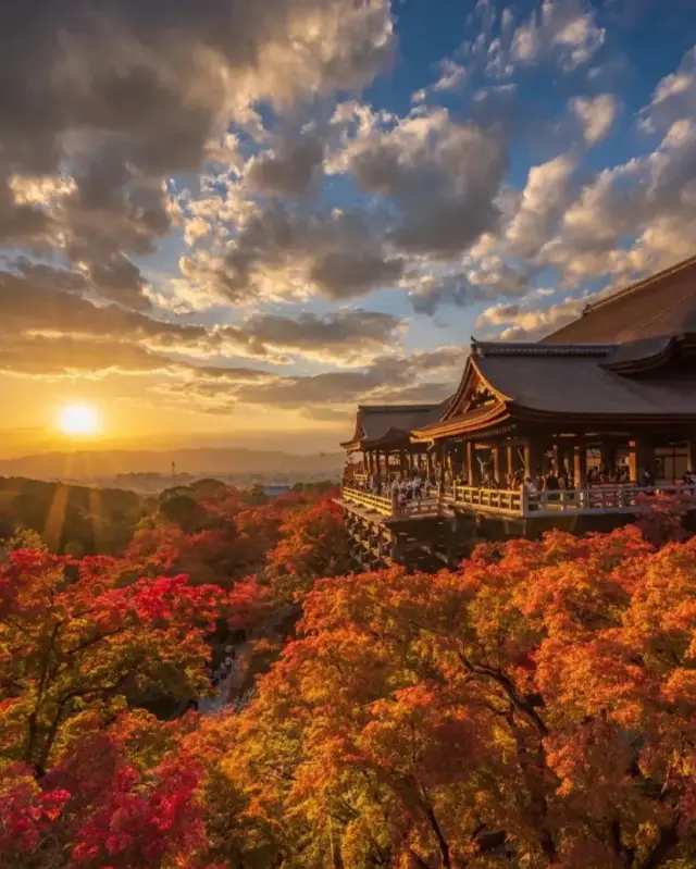 교토 가을 풍경 미쳤다! 9-10월 이 4곳 단풍 명소는 찍기만 해도 배경화면급 명작