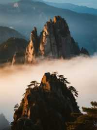 親子遊必去！三清山雲海美到哭，帶娃攻略手把手教你玩