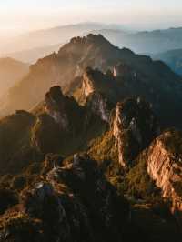 帶娃闖進十萬大山！森林徒步 + 親子露營