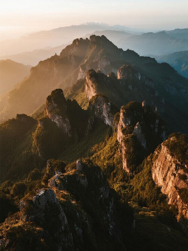 帶娃闖進十萬大山！森林徒步 + 親子露營