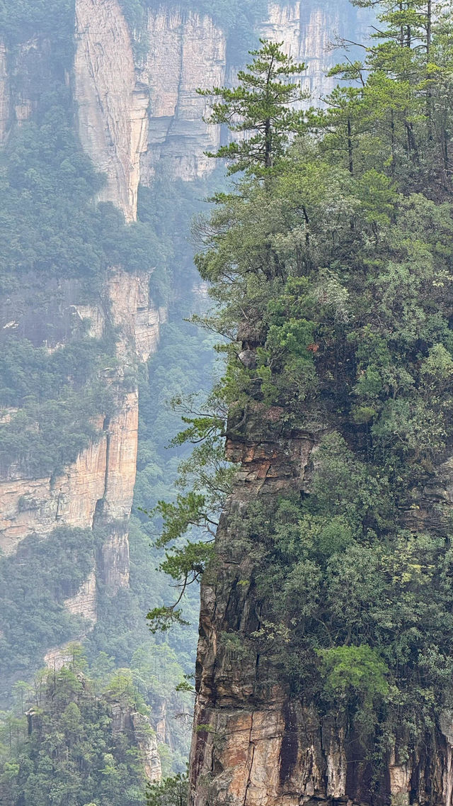 你見過會“飄”在雲裡的石頭嗎？