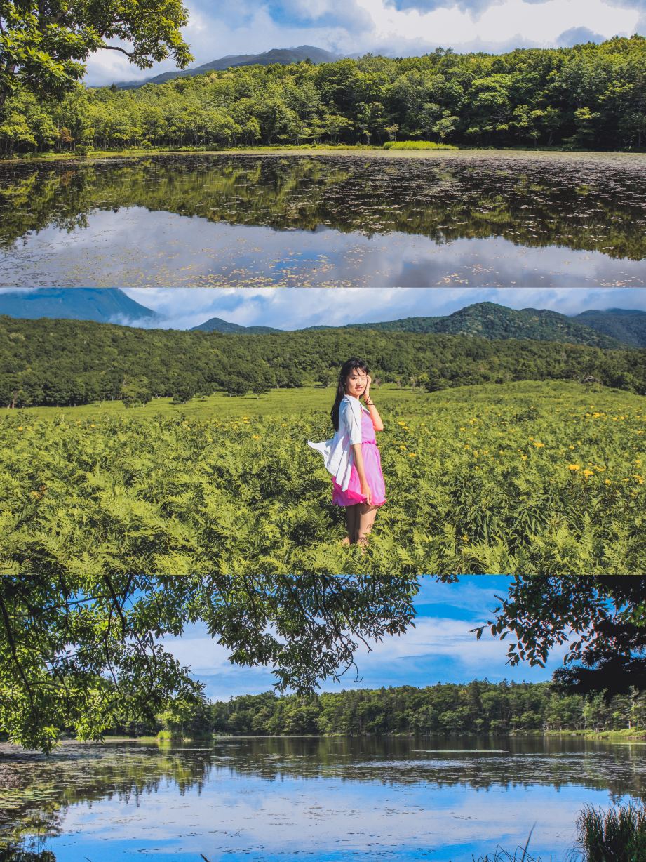 When visiting Hokkaido, be sure to take a trip to Eastern Hokkaido, where there are forests and hot springs