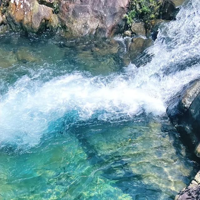 肇慶4天3晚旅遊攻略