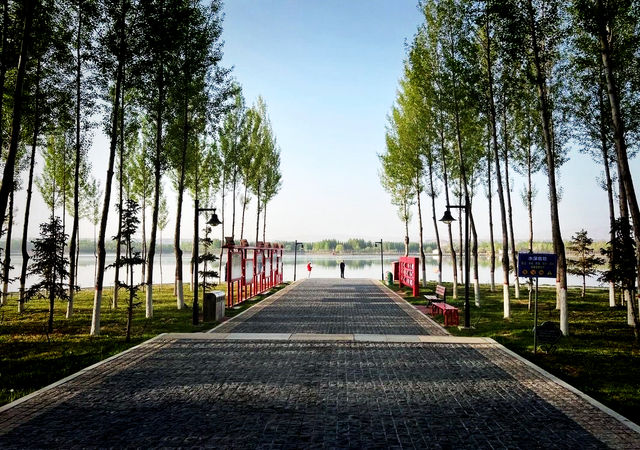 中衛香山公園｜自然景觀與人文休閒於一體的城市公園
