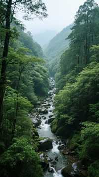 浙江·麗水3天2晚世外桃園之旅