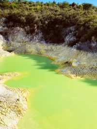 🌿 Waitopu Valley: Where Avocado Groves Meet Geothermal Magic! ♨️🥑